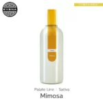 Eybna Mimosa Palate Line テルペンのボトルと商品名