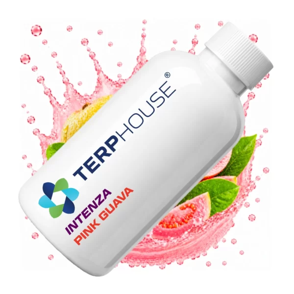 Terp House Guava Nectar(グァバネクター)INTENZAのテルペン商品ボトル
