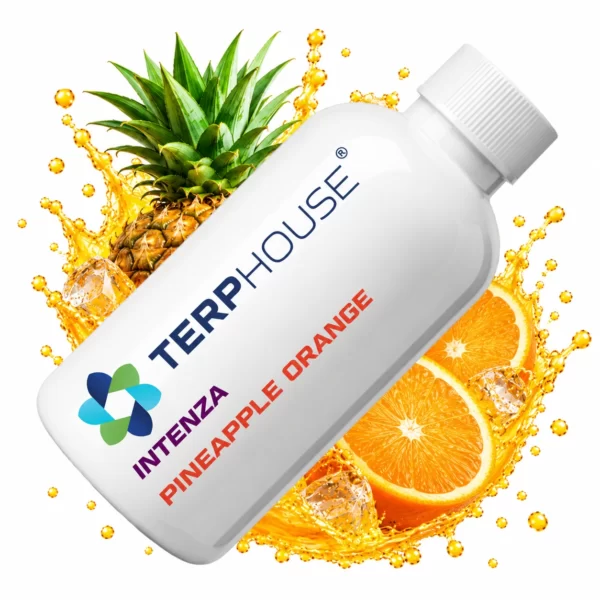 Terp House Pineapple Orange（パイナップルオレンジ）INTENZAのテルペン商品イメージ
