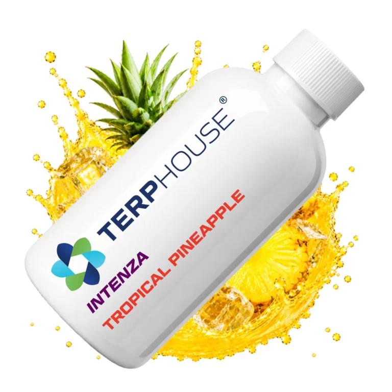 Terp House Tropical Pineapple（トロピカルパイナップル）INTENZAのテルペン商品ボトル