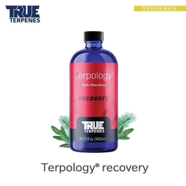 TRUE TERPENES recovery（リカバリー）Terpology テルペンのボトルと商品名